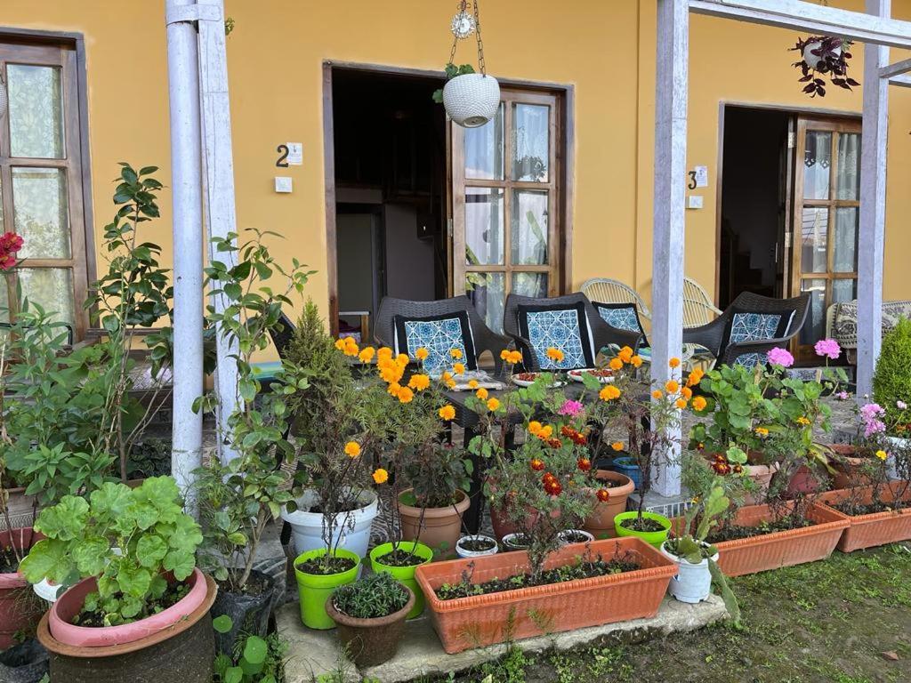 Darjeeling Bnb Exterior foto